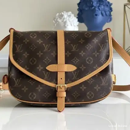 2109YA0039 LV Bag 0226